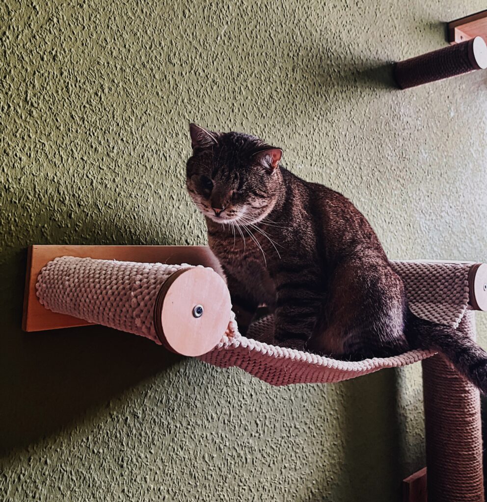 Katzen Hängematte Wandelement