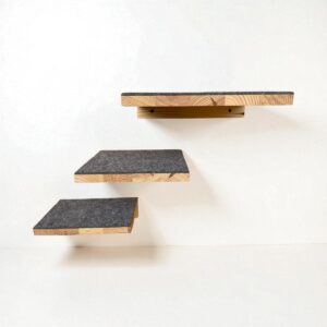 Katzensteps auf dem Wand